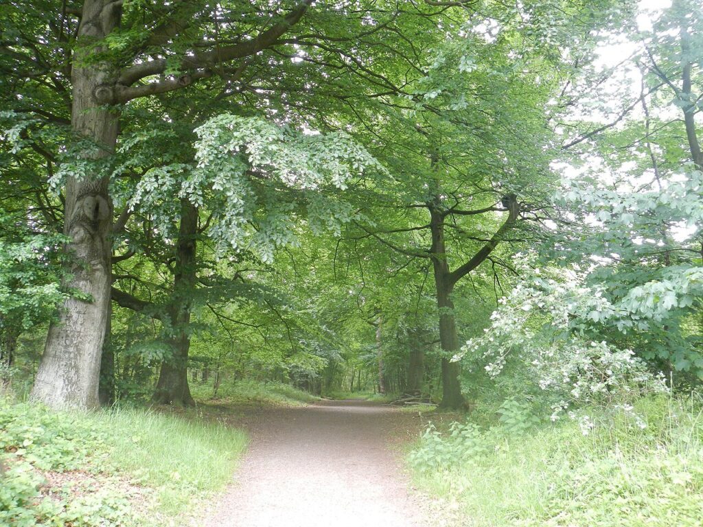 Rondleiding Paddenstoelen op De Paltz met Rob Chrispijn in Soest