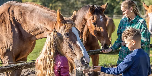 Open Dag & Snuffelmarkt — open-dag in Soest